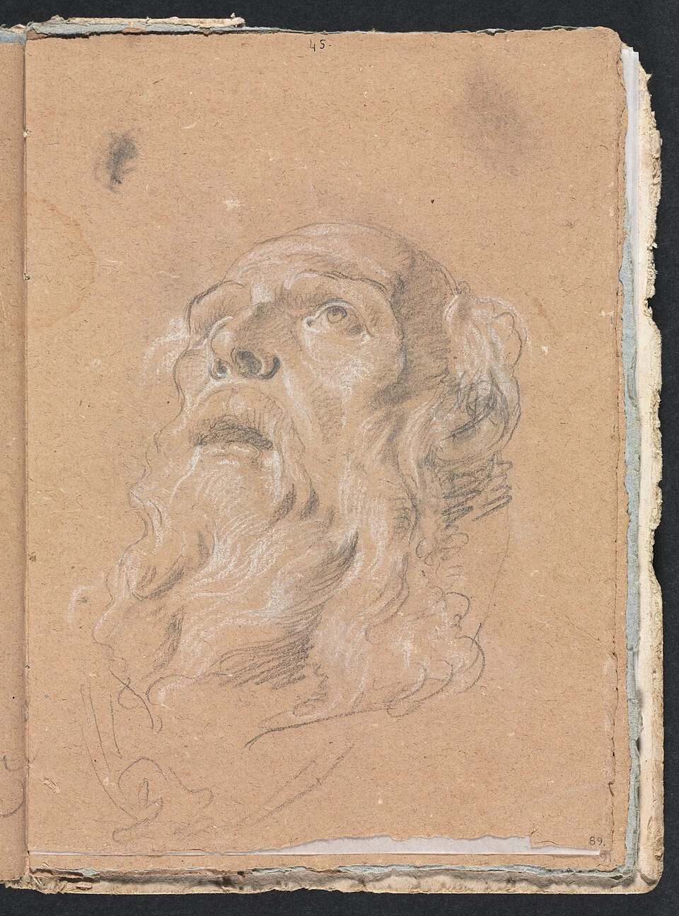 Testa maschile - Cleveland Museum of Art 3
